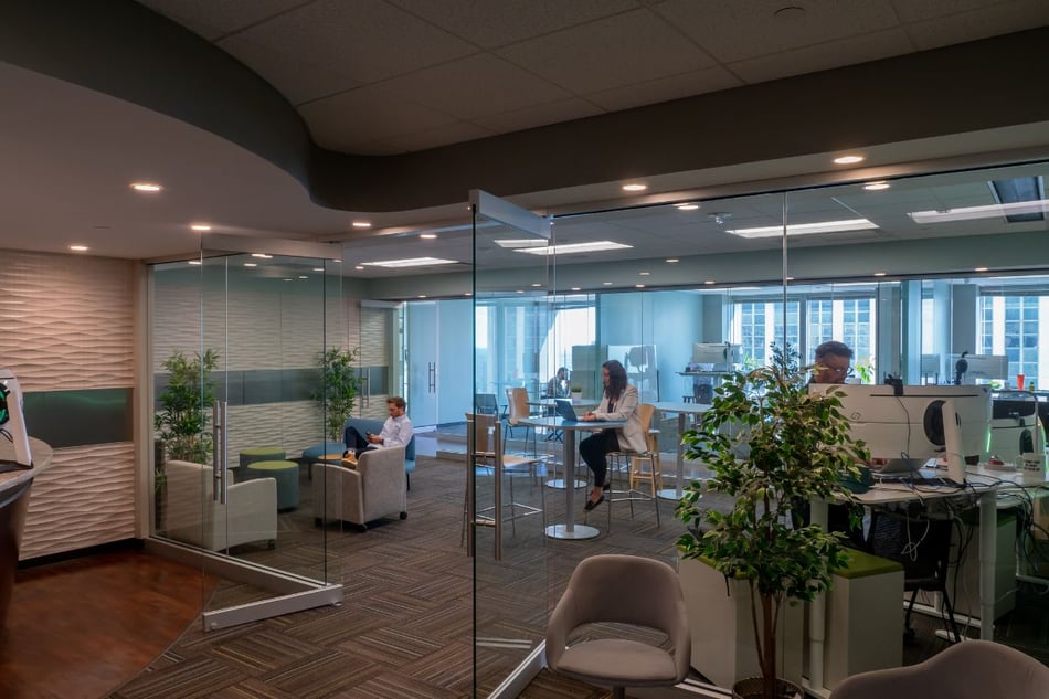 What It’s Like to Work on GreenLancer’s Project Management Team