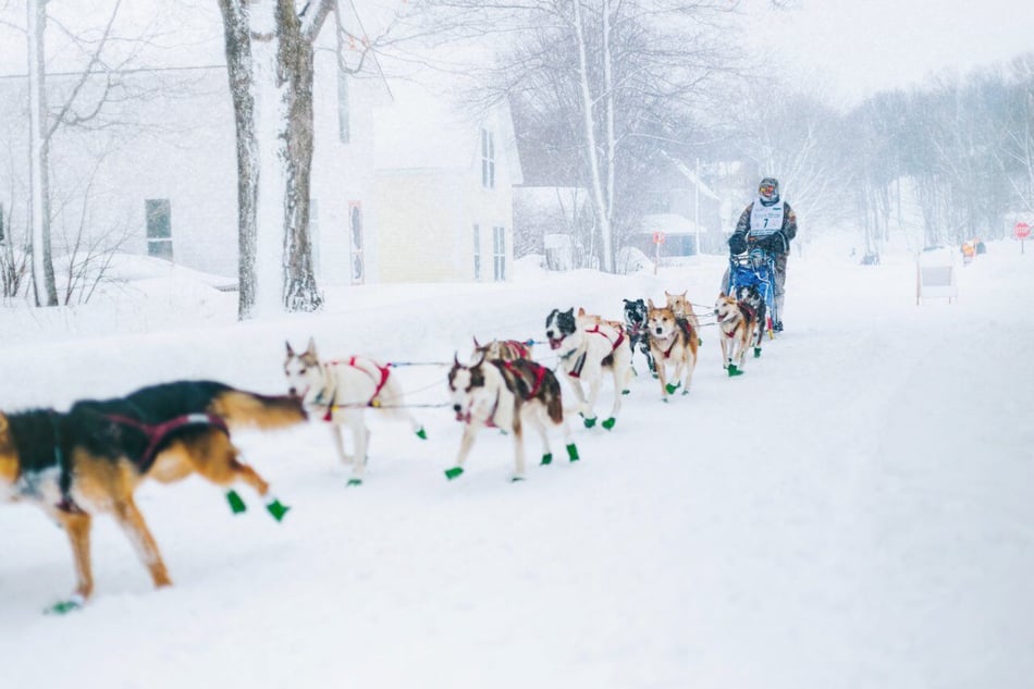 Ways to Enjoy Winter in Michigan