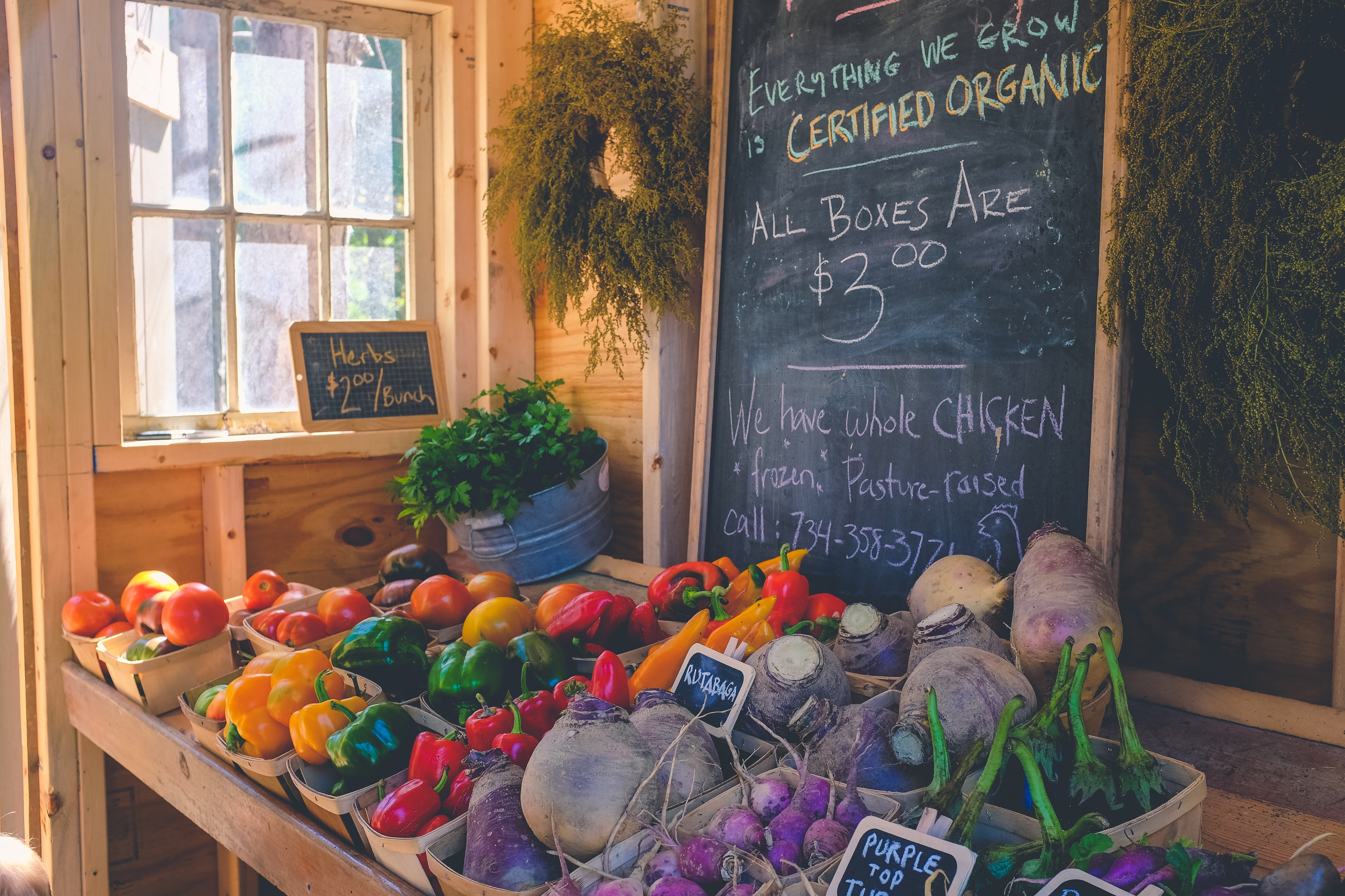 ann arbor farm stand