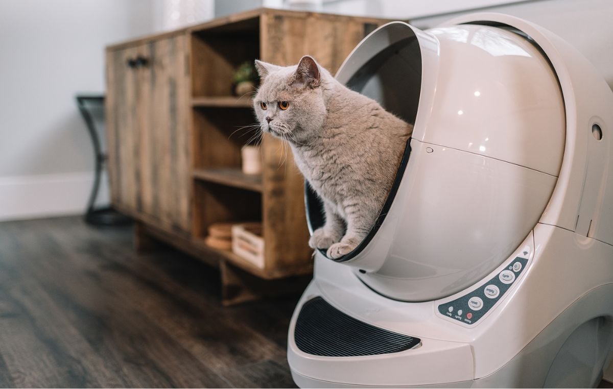 litter robot