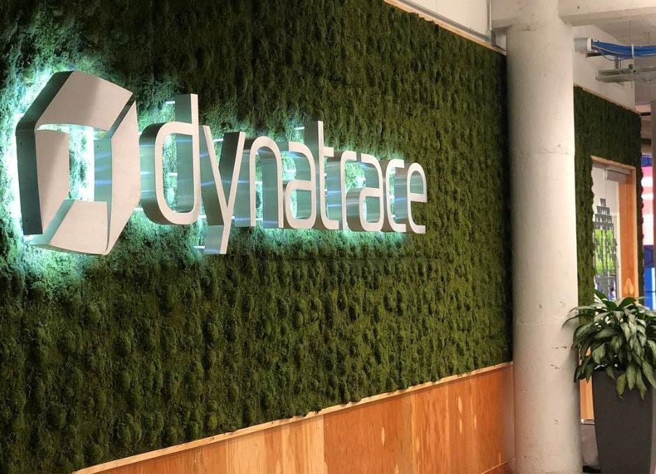 Dynatrace Detroit: a Software Company Growing on and off the Field